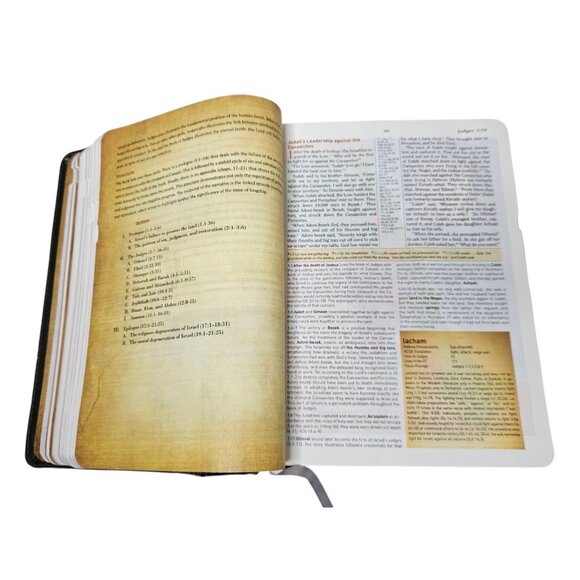 HCSB Holman Christian Standard Study Bible Indexed Gray Simulated Leather 2010 - Picture 16 of 16